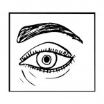 oog