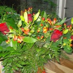 mooie-bloemen