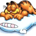GarfieldSleepy