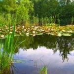 SavedPicture-2016612103053.jpg