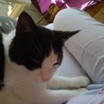 img-20160915-wa0004